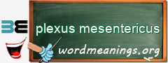 WordMeaning blackboard for plexus mesentericus